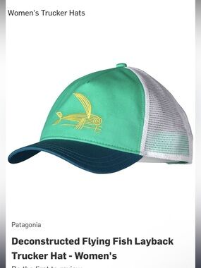 Patagonia Trucker Hat Geodesic Flying Fish Aqua Mesh Snapback Hat